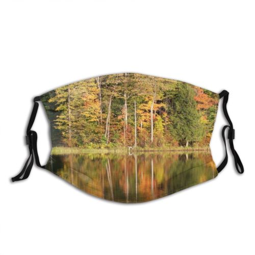yanfind Temperate Forest Landscape Reflection Leaf Fall Tree Broadleaf Forest Natural Autumn Autumn Dust Washable Reusable Filter and Reusable Mouth Warm Windproof Cotton Face