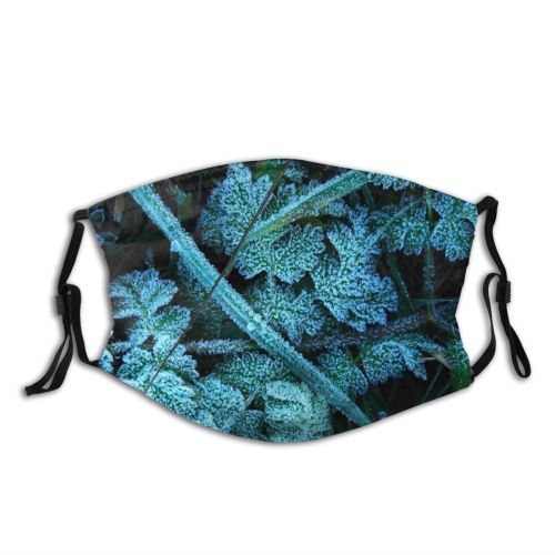 yanfind Winter Frozen Frost Freeze Winter Fern Autumn Leaves Vegetation Plant Flower Leaf Dust Washable Reusable Filter and Reusable Mouth Warm Windproof Cotton Face