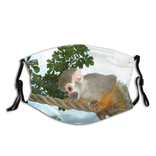 yanfind Vertebrate Monkey Primate Tail Titi Fawn Wildlife Adaptation Dust Washable Reusable Filter and Reusable Mouth Warm Windproof Cotton Face