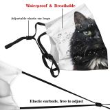 yanfind Isolated Elegant Whisker Fur Hunter Young Cat Kitty Cute Downy Muzzle Posing Dust Washable Reusable Filter and Reusable Mouth Warm Windproof Cotton Face