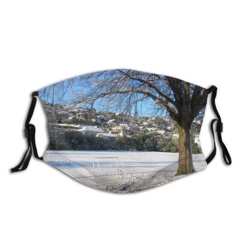 yanfind Winter Winter Natural Woody Dunedin Landscape Sky Ice Branch Snow Street Sunlight Dust Washable Reusable Filter and Reusable Mouth Warm Windproof Cotton Face