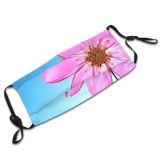 yanfind Plant Cosmos Sky Brightness Flower Garden Flower Love Plant Magenta Daisy Family Dust Washable Reusable Filter and Reusable Mouth Warm Windproof Cotton Face