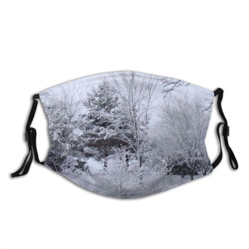 yanfind Winter Trees Twig Tree Branch Blizzard Frost Winter Freezing Michigan Snow Atmospheric Dust Washable Reusable Filter and Reusable Mouth Warm Windproof Cotton Face
