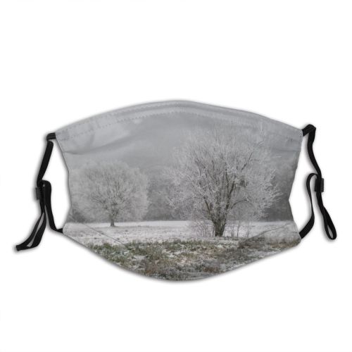 yanfind Winter Natural Winter Atmospheric Sad Landscape Sky Cloudy Snow Tree Frost Freezing   Dust Washable Reusable Filter and Reusable Mouth Warm Windproof Cotton Face