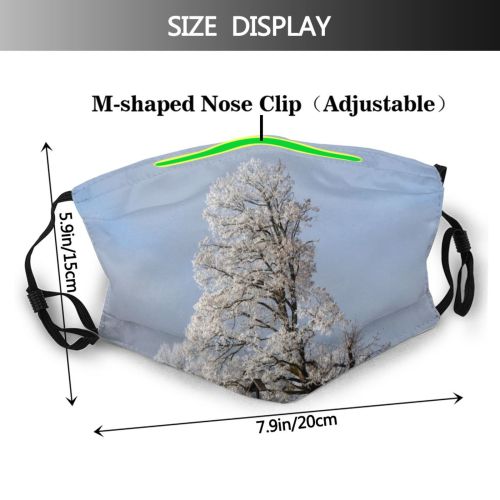 yanfind Winter Frost Winter Natural Woody Cloud Landscape Sky Plant Ice Snow Limetree Dust Washable Reusable Filter and Reusable Mouth Warm Windproof Cotton Face