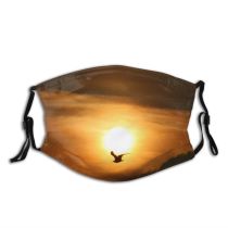 yanfind Closeup Seagull Sky Morning Cloud Hope Sunset Sky Serenity Texas Sunlight Sunrise Dust Washable Reusable Filter and Reusable Mouth Warm Windproof Cotton Face