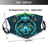yanfind Artwork Picture Cat Kitty Cute Colorful Night Pictures Design Charming Beautiful Face Dust Washable Reusable Filter and Reusable Mouth Warm Windproof Cotton Face
