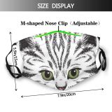 yanfind Isolated Whisker Fur Young Striped Kitty Cat Cute Curious Beautiful Face Pet Dust Washable Reusable Filter and Reusable Mouth Warm Windproof Cotton Face