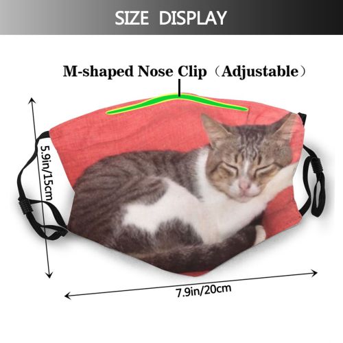 yanfind Isolated Fur Young Cat Kitty Cute Grey Baby Pet Sleep Cats Fluffy Dust Washable Reusable Filter and Reusable Mouth Warm Windproof Cotton Face
