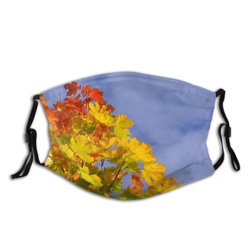 yanfind Flowering Leaf Sky Plant Sky Tree Plant Branch Autumn Autumn Woody Flower Dust Washable Reusable Filter and Reusable Mouth Warm Windproof Cotton Face