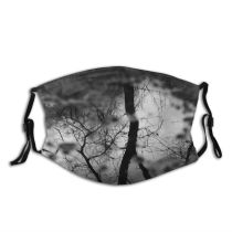 yanfind Natural Autumn Landscape Sky Branch Clouds Tree Tree Storm Reflection Rain Dust Washable Reusable Filter and Reusable Mouth Warm Windproof Cotton Face
