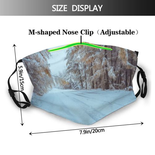 yanfind Landscaped Road Traffic Issues Snowfield Sports Tire Woodland Frozen Branch Wilderness Forward Dust Washable Reusable Filter and Reusable Mouth Warm Windproof Cotton Face