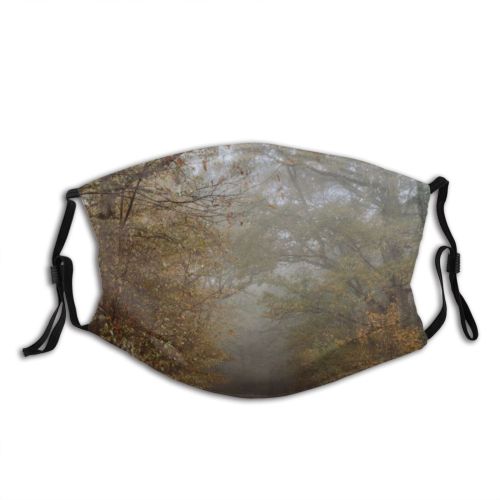 yanfind Idyllic Autumn Foliage Woodland Soundless Daylight Branch Golden Forest Silent Route Direction Dust Washable Reusable Filter and Reusable Mouth Warm Windproof Cotton Face