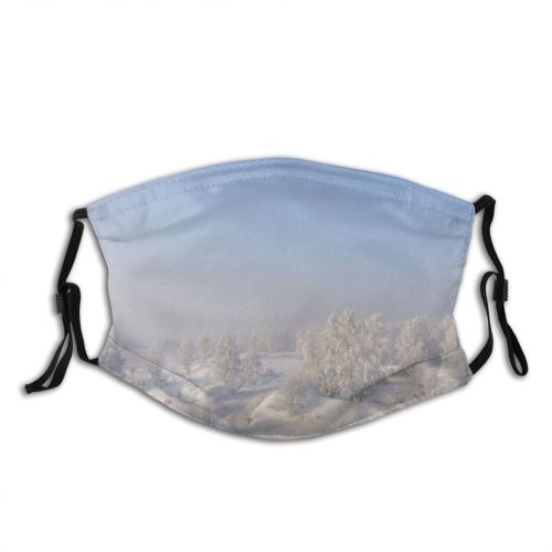 yanfind Winter Frozen Winter Atmospheric Wojkowice Cloud Sky Wood Poland Snow Forest Tree Dust Washable Reusable Filter and Reusable Mouth Warm Windproof Cotton Face
