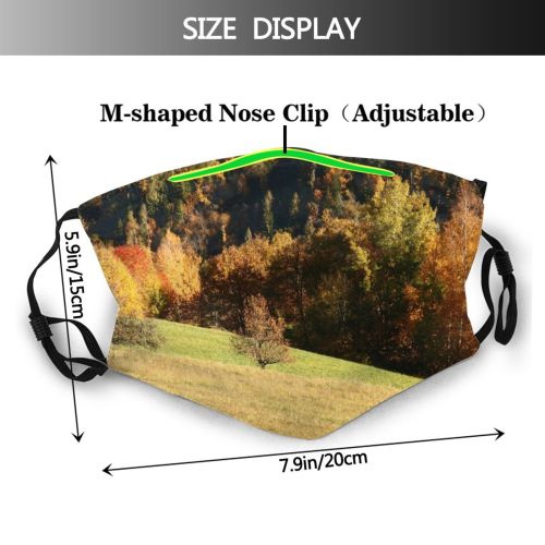 yanfind Natural Trentino Autumn Falesina Leaves Landscape Sky Fall Leaf Leaf Tree Tree Dust Washable Reusable Filter and Reusable Mouth Warm Windproof Cotton Face