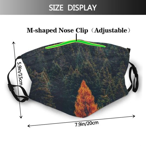 yanfind Idyllic Autumn Foliage Pine Forest Evergreen Tranquil Scenery Leaves Trees Outdoors Season Dust Washable Reusable Filter and Reusable Mouth Warm Windproof Cotton Face
