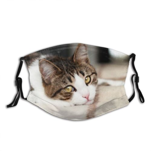 yanfind Face Sight Funny Cats Cat Cute Sad Relax Relaxing Tender Sweet Dust Washable Reusable Filter and Reusable Mouth Warm Windproof Cotton Face