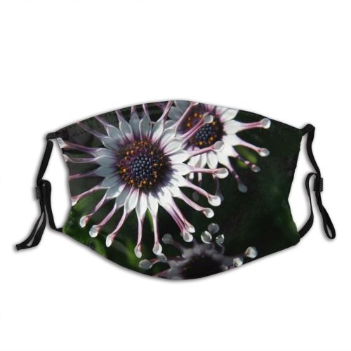 yanfind Flower Plant Wildflower Petal Flower Flowering Plants Family Passion Terrestrial Plant Botany Dust Washable Reusable Filter and Reusable Mouth Warm Windproof Cotton Face