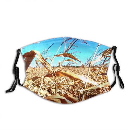 yanfind Grain Family Corn Plant Fall Sky Stem Phragmites Wheat Crop Grass Grain Dust Washable Reusable Filter and Reusable Mouth Warm Windproof Cotton Face