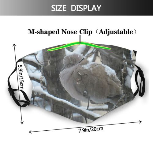 yanfind Dove Winter Mourning Bird Plant Bird Twig Branch Dove Feather Wildlife Beak Dust Washable Reusable Filter and Reusable Mouth Warm Windproof Cotton Face