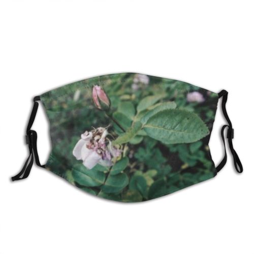 yanfind  Spring Flower Garden Flora Blooming Gardening Leafs Plant Rose Macro Leaves Dust Washable Reusable Filter and Reusable Mouth Warm Windproof Cotton Face