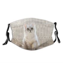 yanfind Comfortable Comfort Persia Wicker Decor Life Cat Kitty British Cute Cozy Lazy Dust Washable Reusable Filter and Reusable Mouth Warm Windproof Cotton Face
