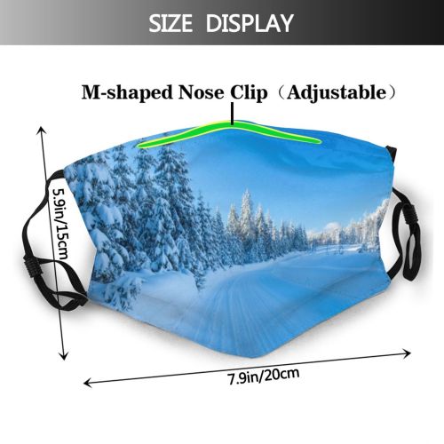 yanfind Ice Transport Scandinavia Landscape Woodland Tranquility Journey Tree Freshness Snow Scene Drammen Dust Washable Reusable Filter and Reusable Mouth Warm Windproof Cotton Face