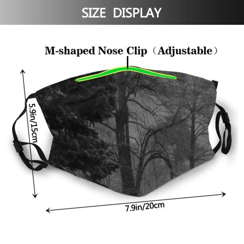 yanfind Winter Sky Tree Atmosphere Atmospheric Dust Washable Reusable Filter and Reusable Mouth Warm Windproof Cotton Face