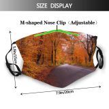 yanfind HDR Driving Natural Autumn Tarmac October Landscape Fall Street Road Leaf Forest Dust Washable Reusable Filter and Reusable Mouth Warm Windproof Cotton Face