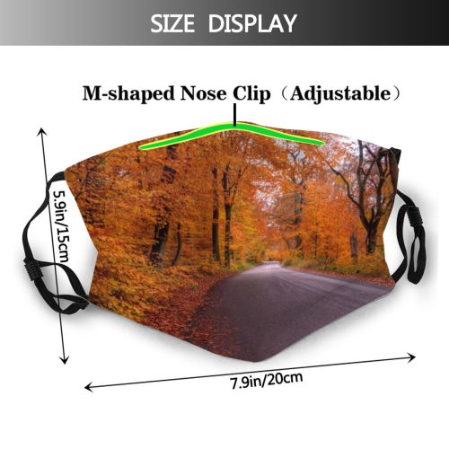 yanfind HDR Driving Natural Autumn Tarmac October Landscape Fall Street Road Leaf Forest Dust Washable Reusable Filter and Reusable Mouth Warm Windproof Cotton Face