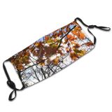 yanfind Leaves Deciduous Maple Leaf Plant Twig Tree Tree Branch Plant Autumn Sun Dust Washable Reusable Filter and Reusable Mouth Warm Windproof Cotton Face