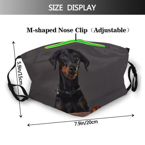 yanfind Pinscher Isolated Elegant Naked Young Cute Flair Obedient Dog Strong Clever Elegance Dust Washable Reusable Filter and Reusable Mouth Warm Windproof Cotton Face