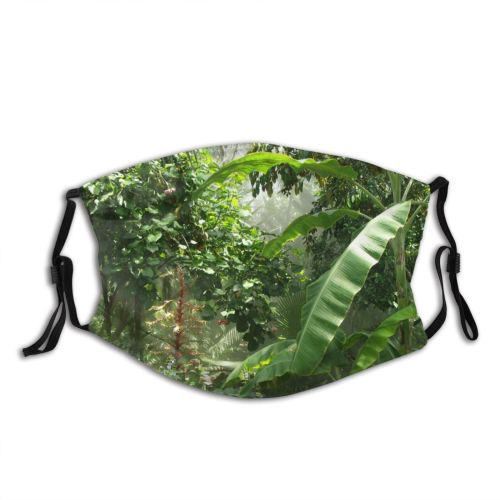 yanfind Plant Exotic Flower Tree Plant Dark Forest Jungle Rainforest Terrestrial Botany Leaf Dust Washable Reusable Filter and Reusable Mouth Warm Windproof Cotton Face
