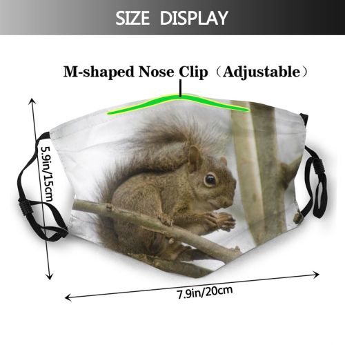 yanfind Ground Squirrel Chubby Eating Branch Fur Squirrels Snout Rodent Vertebrate Leaf Squirrel Dust Washable Reusable Filter and Reusable Mouth Warm Windproof Cotton Face