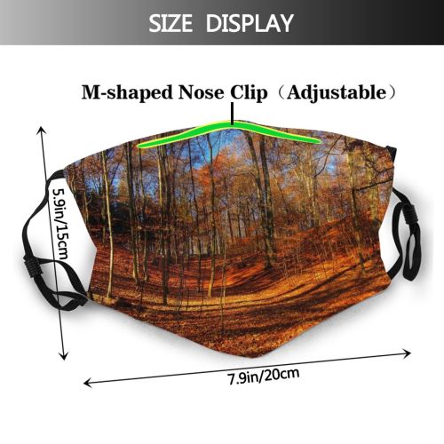 yanfind HDR Natural Autumn October Landscape Fall Forrest Leaf Forest Sunny Hardwood Leaf   Dust Washable Reusable Filter and Reusable Mouth Warm Windproof Cotton Face