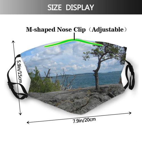 yanfind Coast Shore Vegetation Sky Sky Tree Archipelago Rocks Stockholm Tree Rock Ocean Dust Washable Reusable Filter and Reusable Mouth Warm Windproof Cotton Face