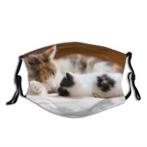yanfind Lovely Fur Together Mother Young Little Cat Kitty Cute Affection Tricolor By Dust Washable Reusable Filter and Reusable Mouth Warm Windproof Cotton Face