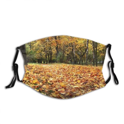 yanfind Temperate Natural Autumn Landscape Broadleaf Leaf Forest Leaf Tree Forest Autumn Park Dust Washable Reusable Filter and Reusable Mouth Warm Windproof Cotton Face