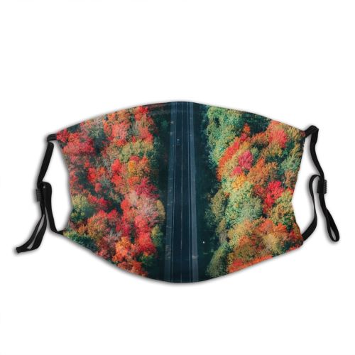 yanfind Idyllic Autumn Perspective Shot Foliage Footage Top Road Tranquil Roadway Drone Scenery Dust Washable Reusable Filter and Reusable Mouth Warm Windproof Cotton Face