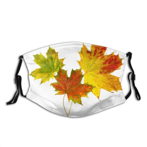 yanfind Maple Autumn Woody Leaves Maple Plant Fall Decoration Plane Leaf Leaf Tree Dust Washable Reusable Filter and Reusable Mouth Warm Windproof Cotton Face