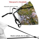 yanfind Zachodniopomorskie Temperate Natural Autumn Woody Landscape Plant Broadleaf Branch Poland Forest Leaf Dust Washable Reusable Filter and Reusable Mouth Warm Windproof Cotton Face