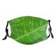 yanfind Plant Drop Moisture Plant Rainforest Macro Terrestrial Leaf Macro Bodgie Rain Leaf Dust Washable Reusable Filter and Reusable Mouth Warm Windproof Cotton Face