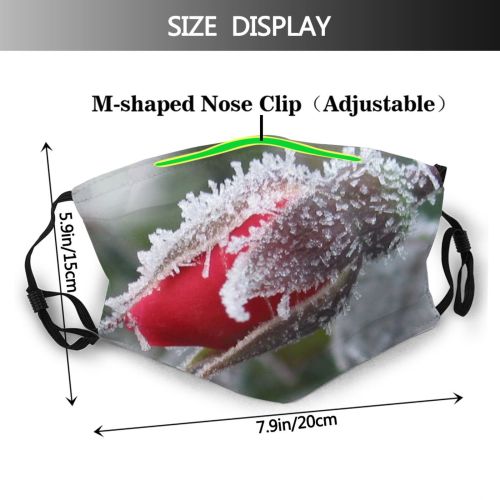 yanfind Winter Impressions Macro Leaf Plant Bud Frost Winter Freezing Snow Plants Flower Dust Washable Reusable Filter and Reusable Mouth Warm Windproof Cotton Face