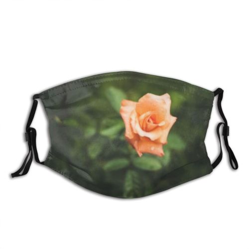 yanfind  Spring Flower Garden Flora Blooming Romantic Plant Bunch Rose Valentine  Dust Washable Reusable Filter and Reusable Mouth Warm Windproof Cotton Face