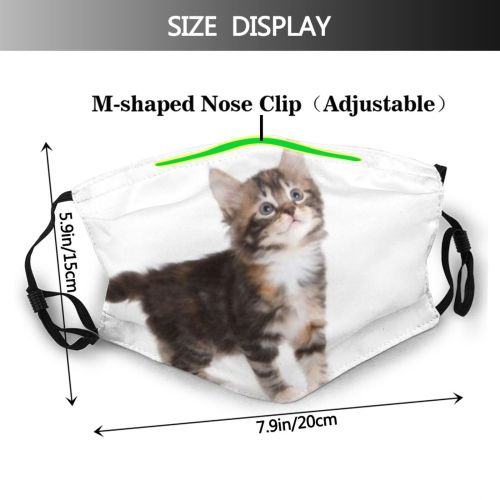 yanfind Isolated Fur Kuril Young Cat Kitty Cute Carnivore Purr Pedigreed Pedigree Sad Dust Washable Reusable Filter and Reusable Mouth Warm Windproof Cotton Face