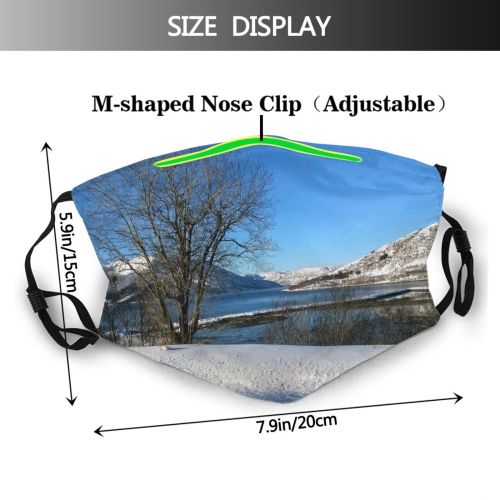 yanfind Ice Lake Daylight Frost Frosty Frozen Mountains Winter Snow Outdoors Season Trees Dust Washable Reusable Filter and Reusable Mouth Warm Windproof Cotton Face