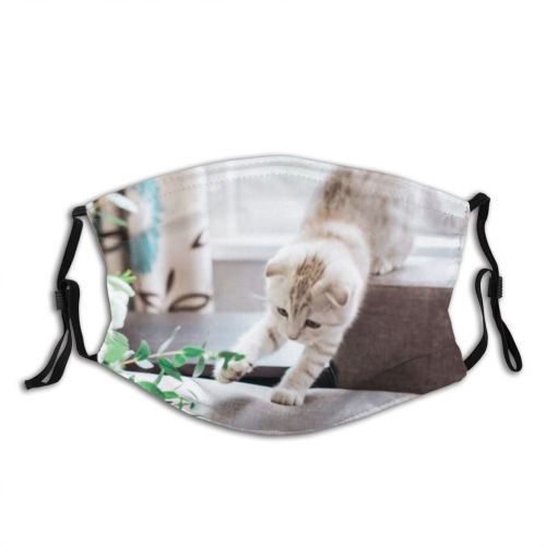 yanfind Bridal Elegant Life Cat Cute Groom Smiling Marriage Dress Wedding Bouquet Bride Dust Washable Reusable Filter and Reusable Mouth Warm Windproof Cotton Face