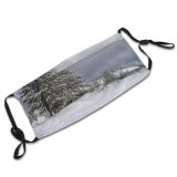 yanfind Geological Sky Trees Tree Plant Frost Winter Freezing Atmospheric Snow Woody Snow Dust Washable Reusable Filter and Reusable Mouth Warm Windproof Cotton Face