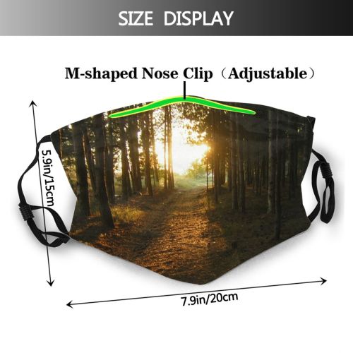 yanfind Priroda Natural Atmospheric Autumn Landscape Ash Mount Forest Sunlight Tree Forest Light Dust Washable Reusable Filter and Reusable Mouth Warm Windproof Cotton Face