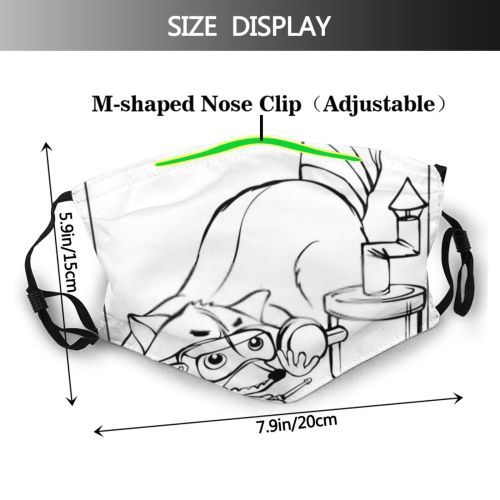 yanfind Isolated Fur Raccoons Comic Cookie Cute Mascot Iron Robber Coon Wildlife Raccoon Dust Washable Reusable Filter and Reusable Mouth Warm Windproof Cotton Face